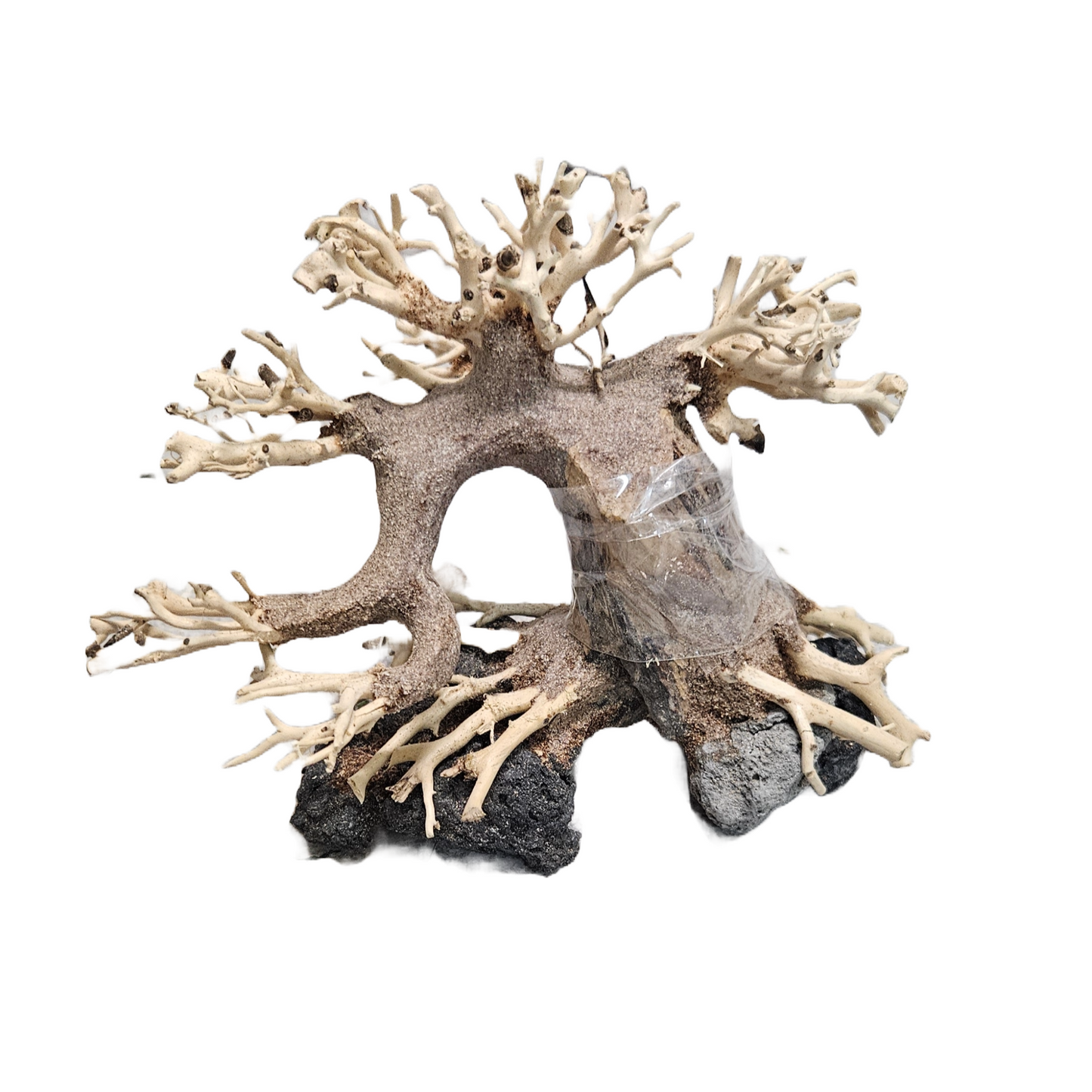 Bonsai Wood