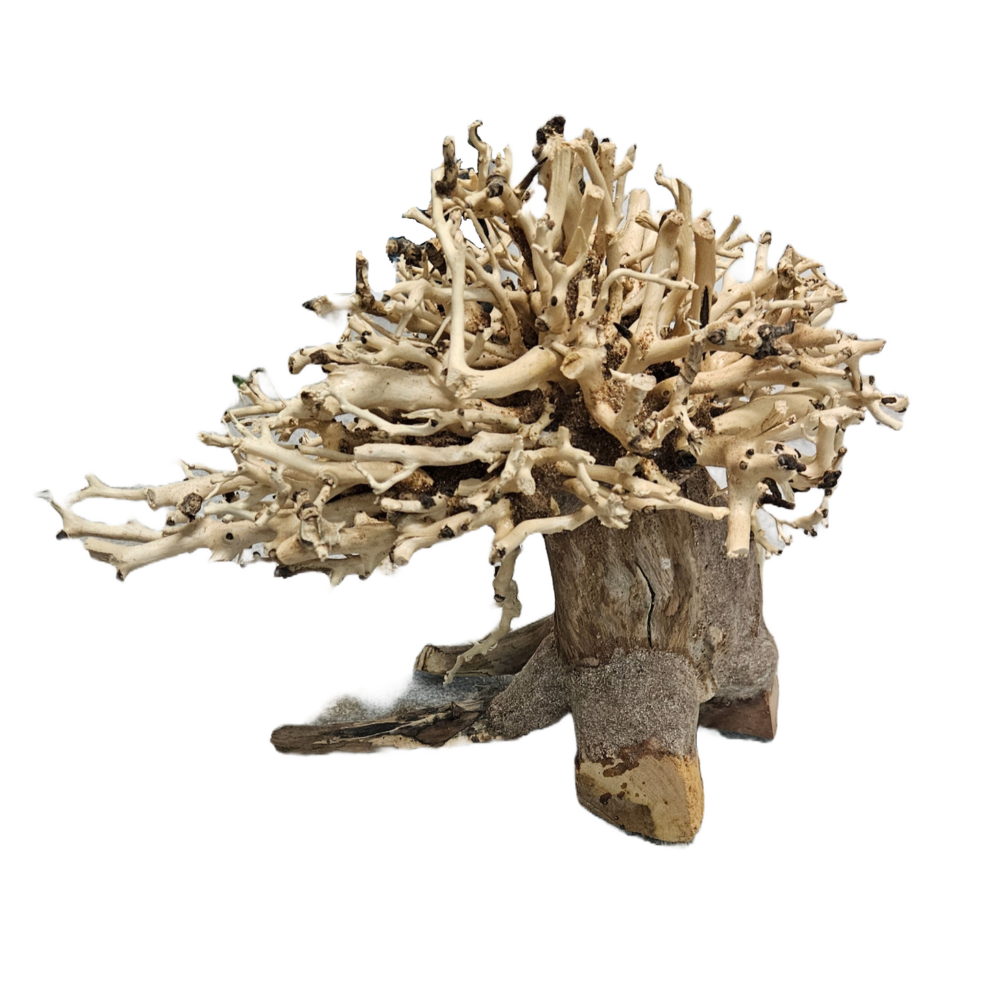 Bonsai Wood
