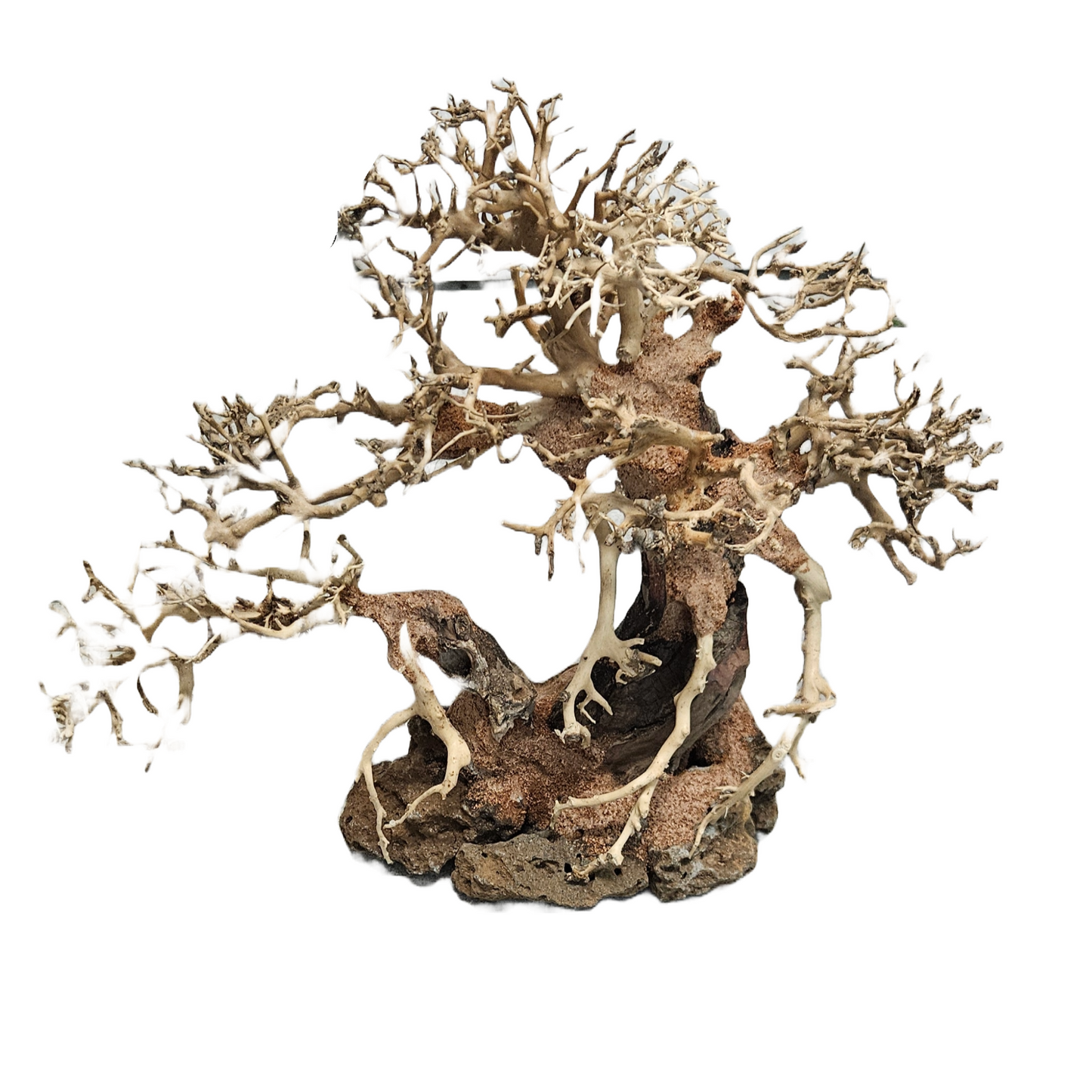 Bonsai Wood