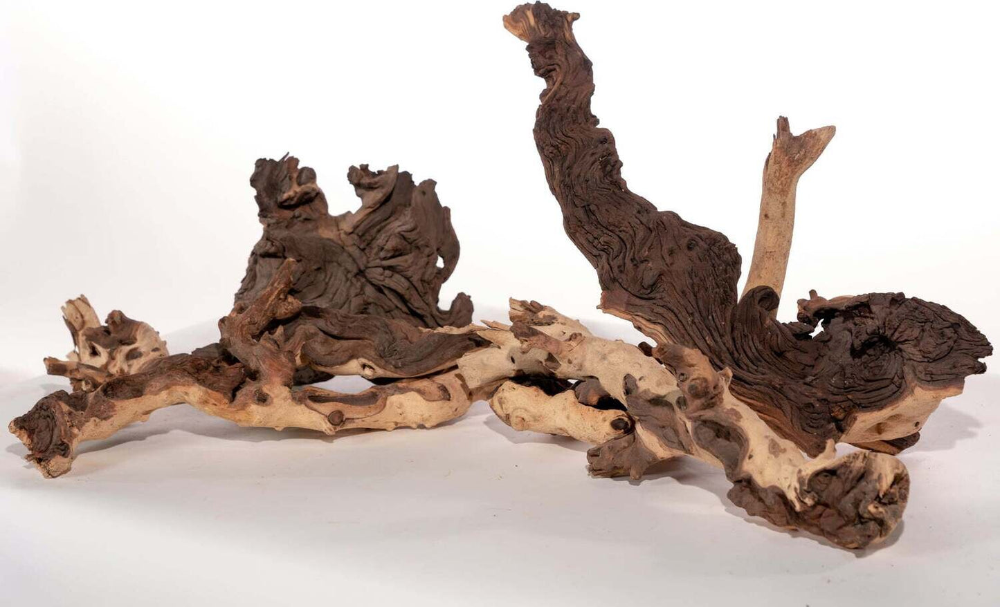 Mopani Wood