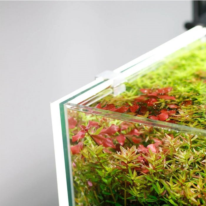 Chihiros LED Lightscreen Background