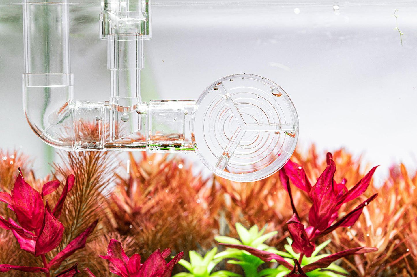 Aquario Neo Flow Premium Kit (Version 2)