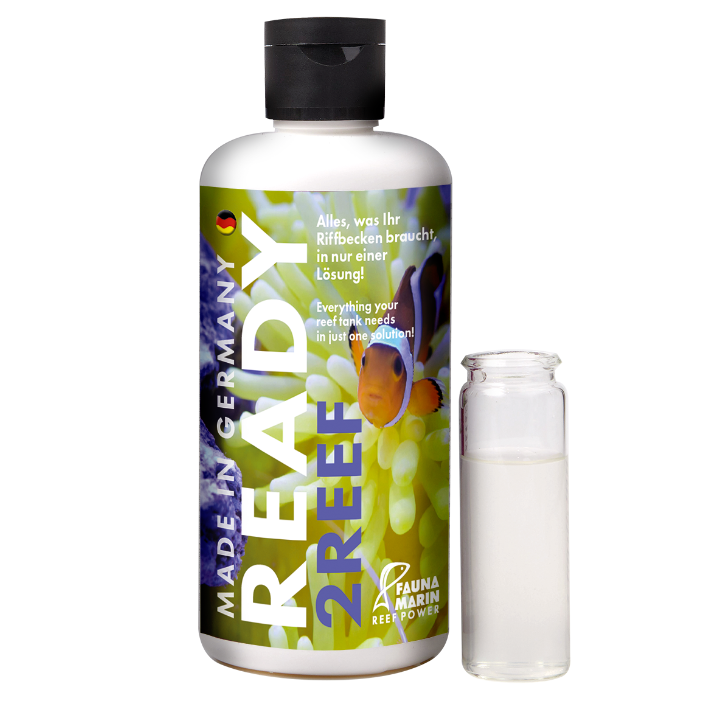 Fauna Marine Ready2Reef