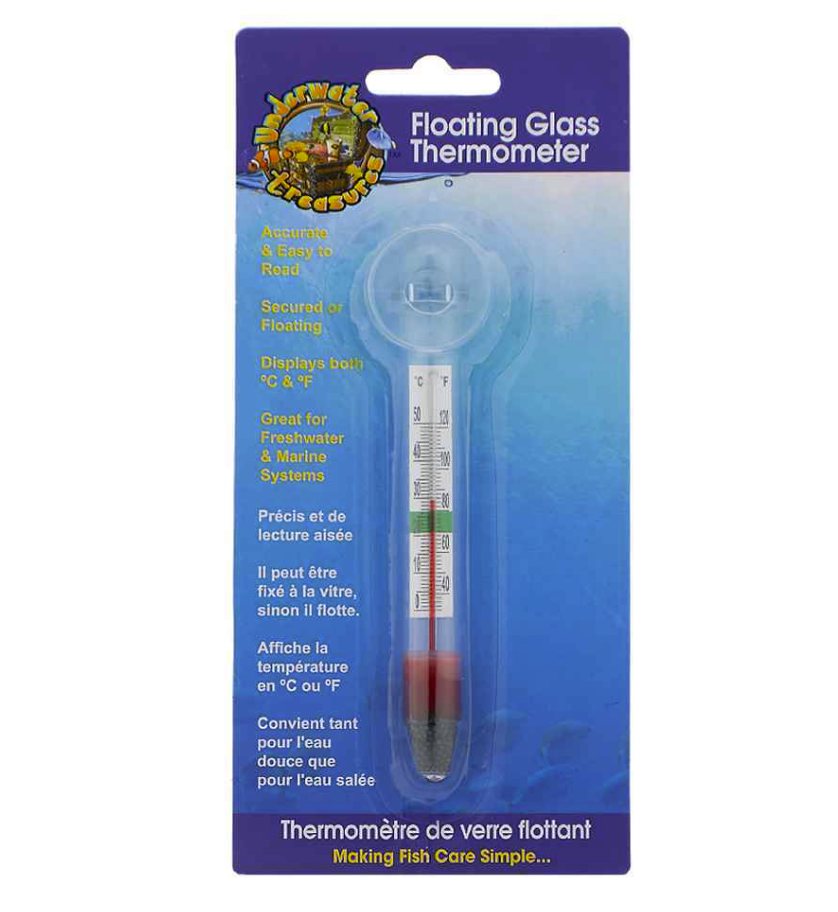 Thermomètre en Verre