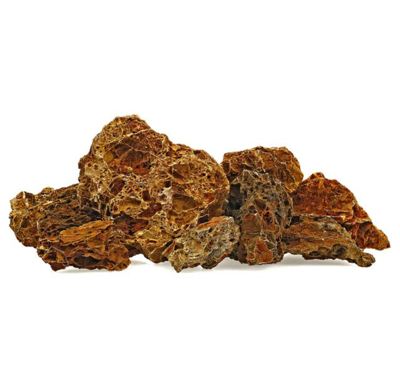 Rock Maple Leaf