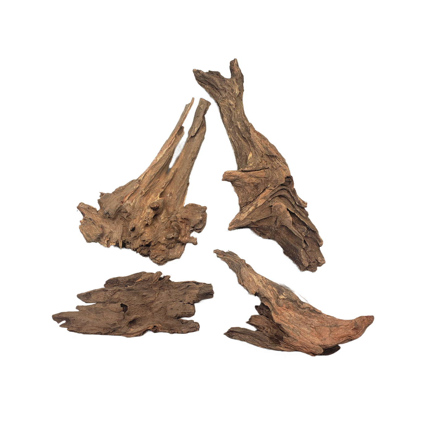 Kapas Root