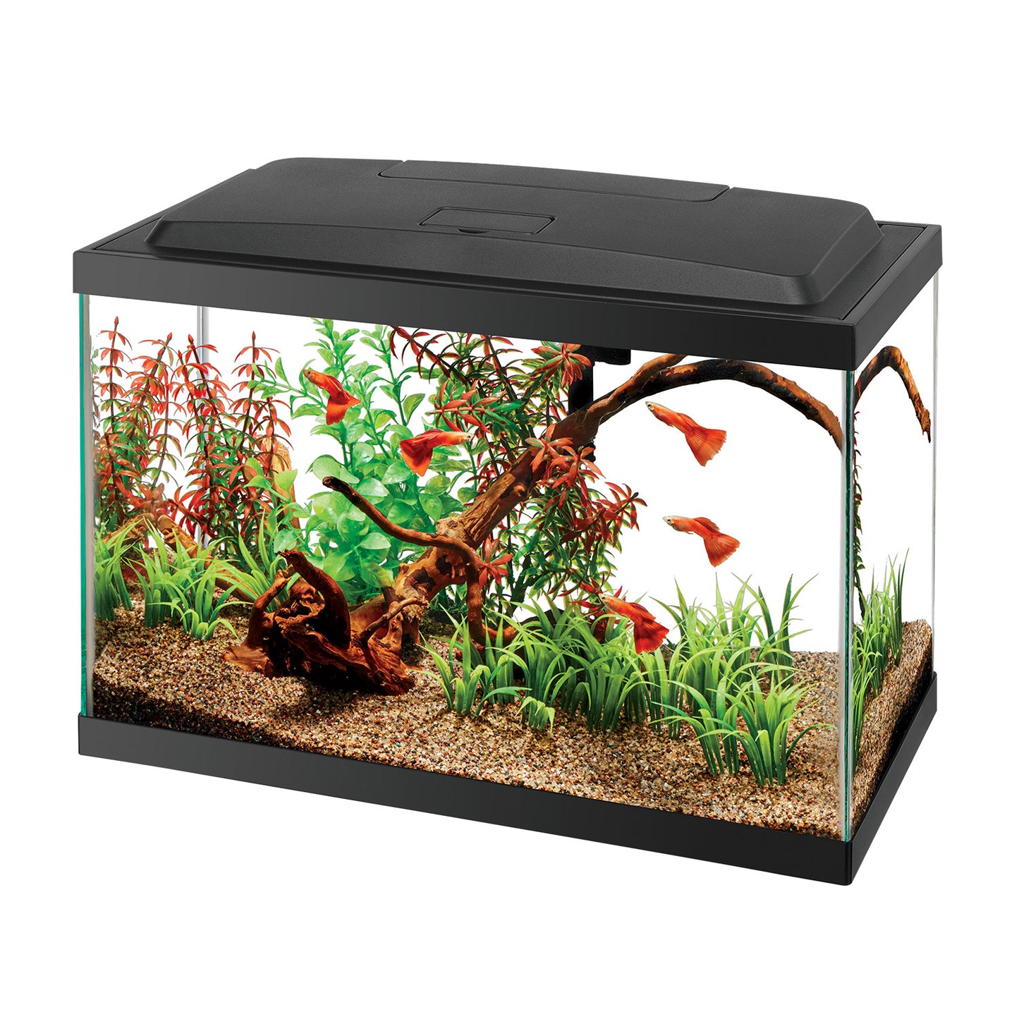 Aqueon Kit Aquarium 5.5 Gallons