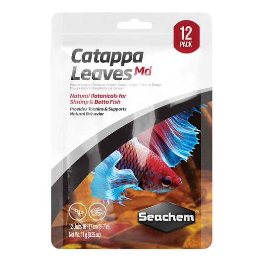 Seachem Feuilles de Catappa 12px