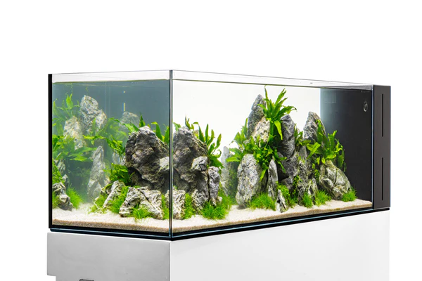 Dual All-In-One UNS Rimless Ultra Clear Glass Aquarium 90LA